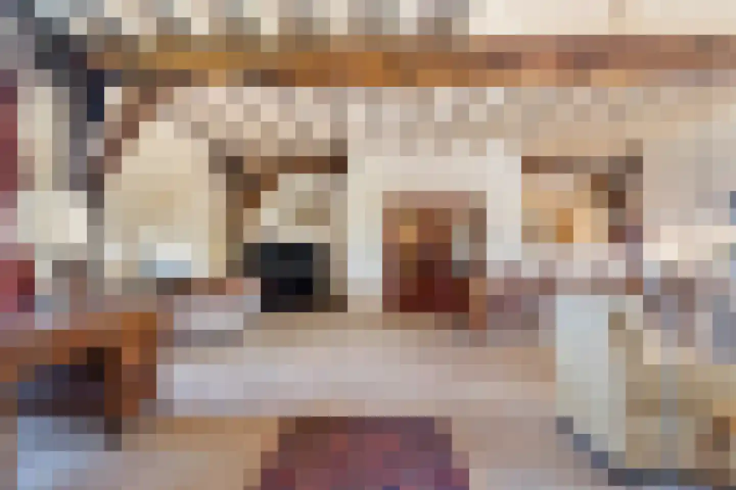 Oldenhave 13 Ruinen thumbnail 31