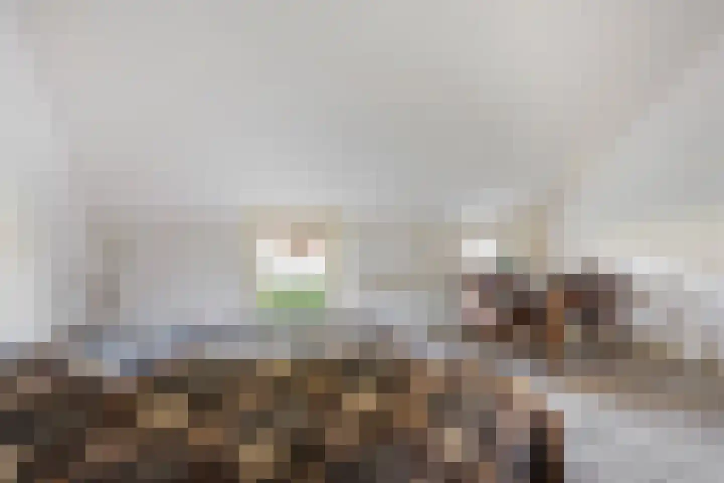 Oldenhave 13 Ruinen thumbnail 34