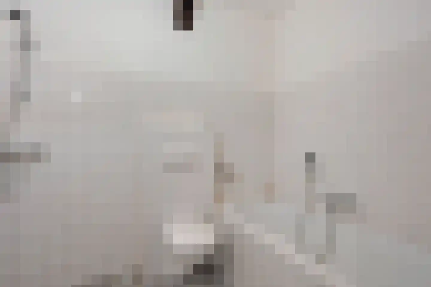 Oldenhave 13 Ruinen thumbnail 36