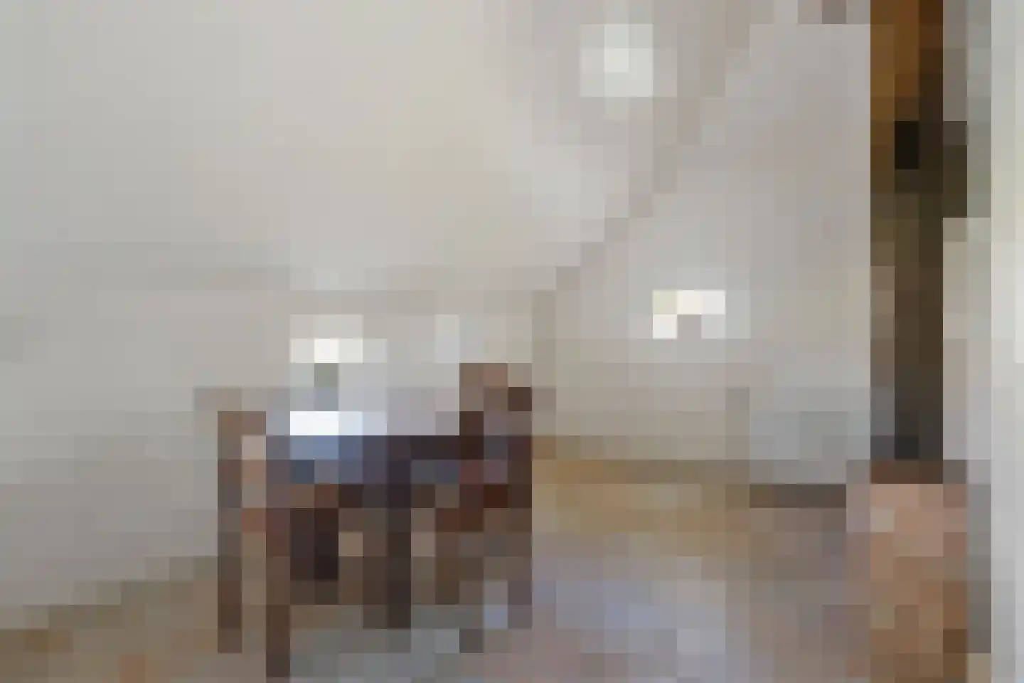 Oldenhave 13 Ruinen thumbnail 39