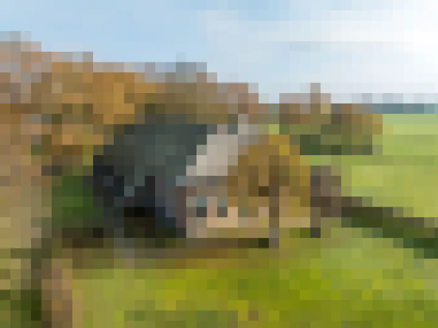 Oldenhave 13 Ruinen thumbnail 4