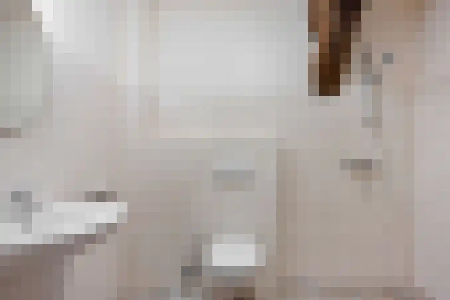 Oldenhave 13 Ruinen thumbnail 40