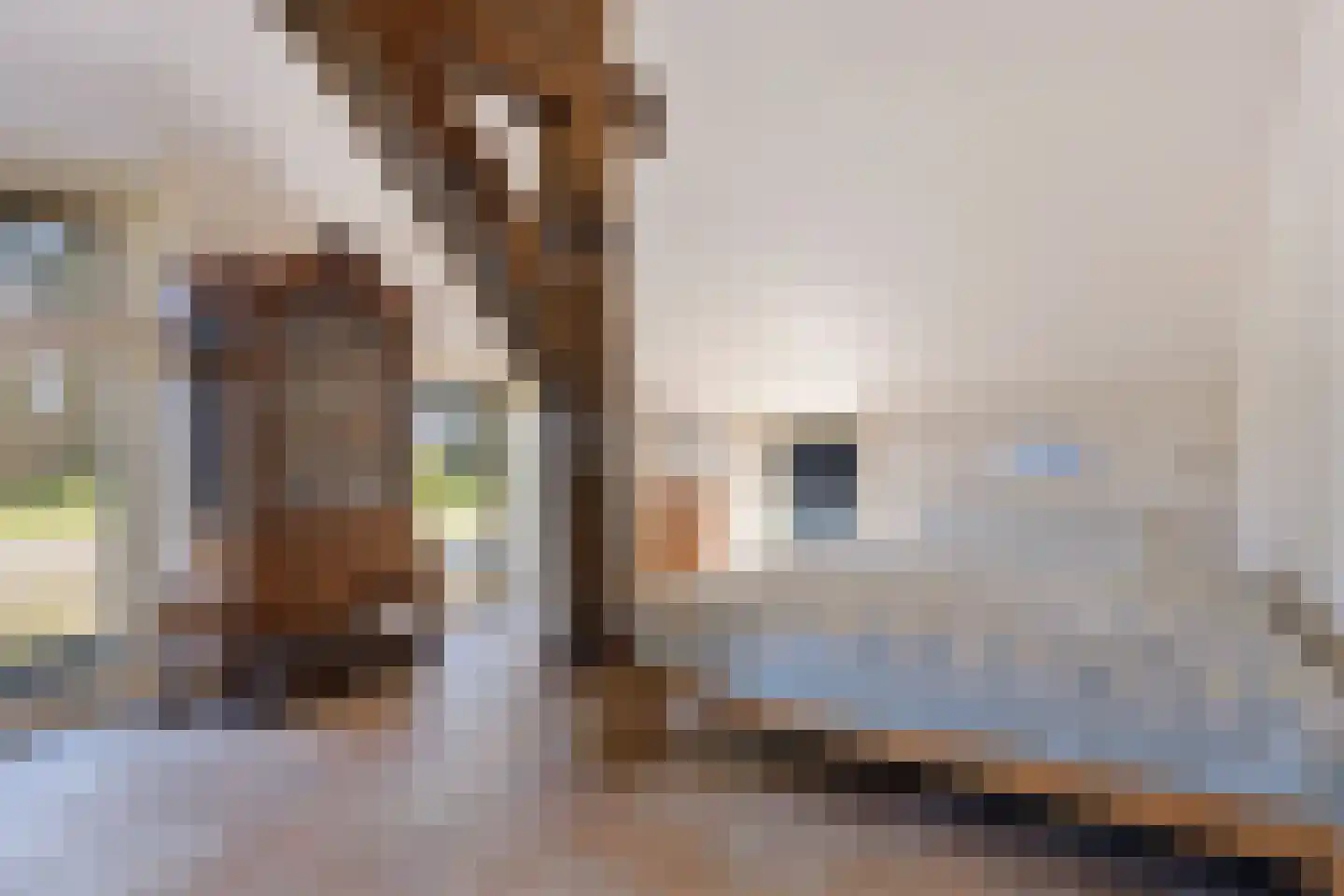Oldenhave 13 Ruinen thumbnail 41