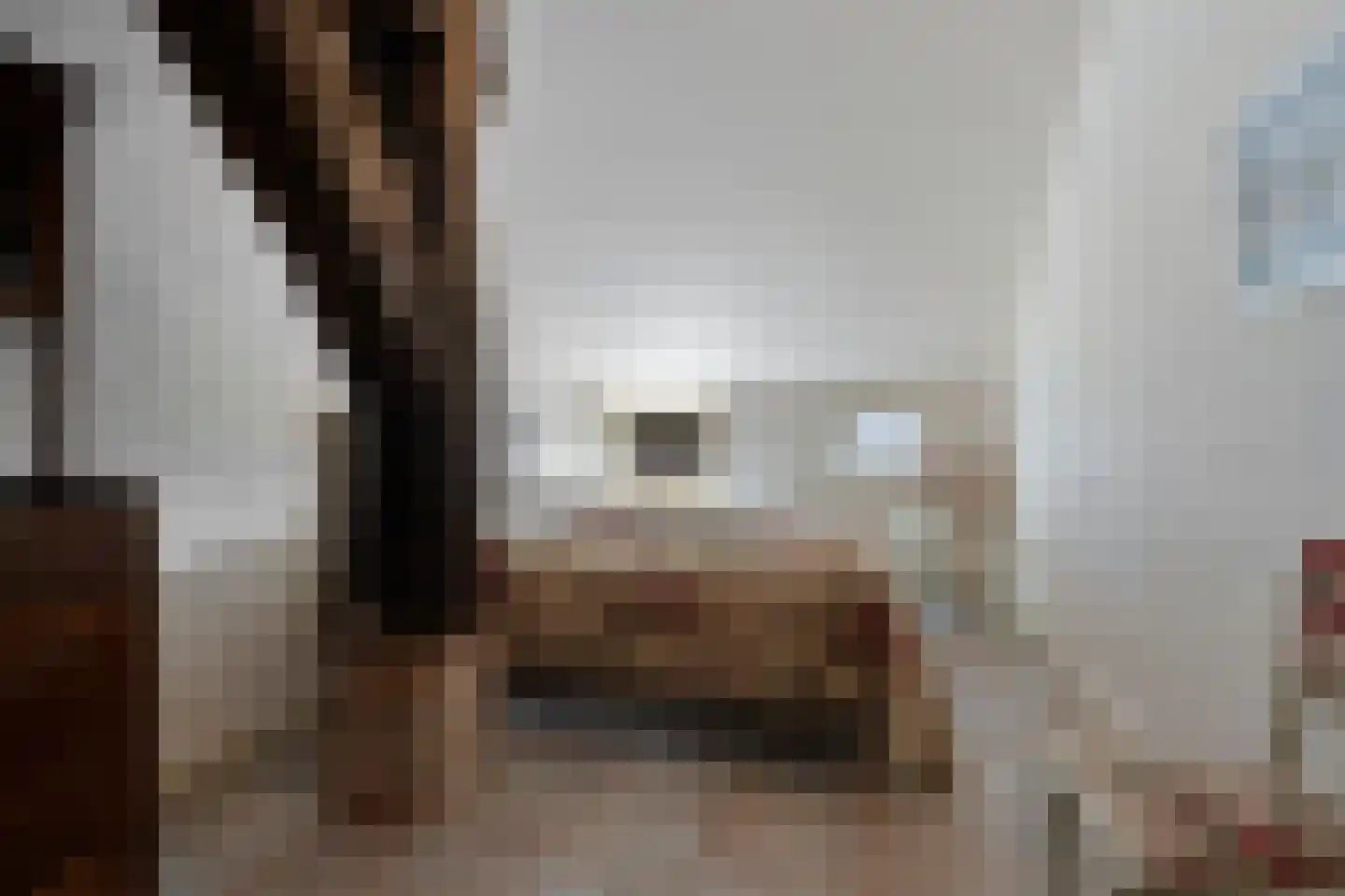 Oldenhave 13 Ruinen thumbnail 43