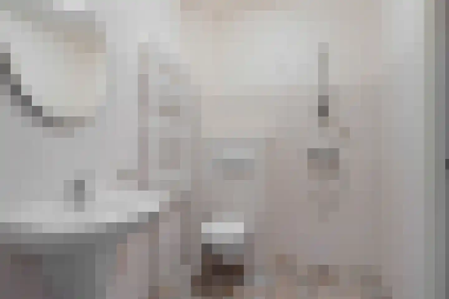 Oldenhave 13 Ruinen thumbnail 44