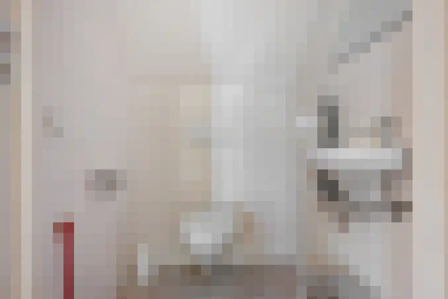 Oldenhave 13 Ruinen thumbnail 46