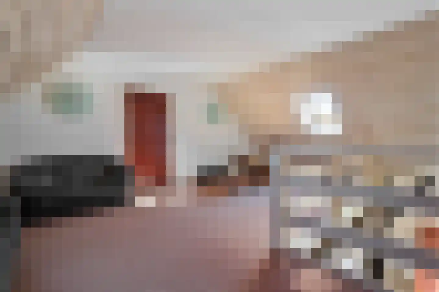 Oldenhave 13 Ruinen thumbnail 51