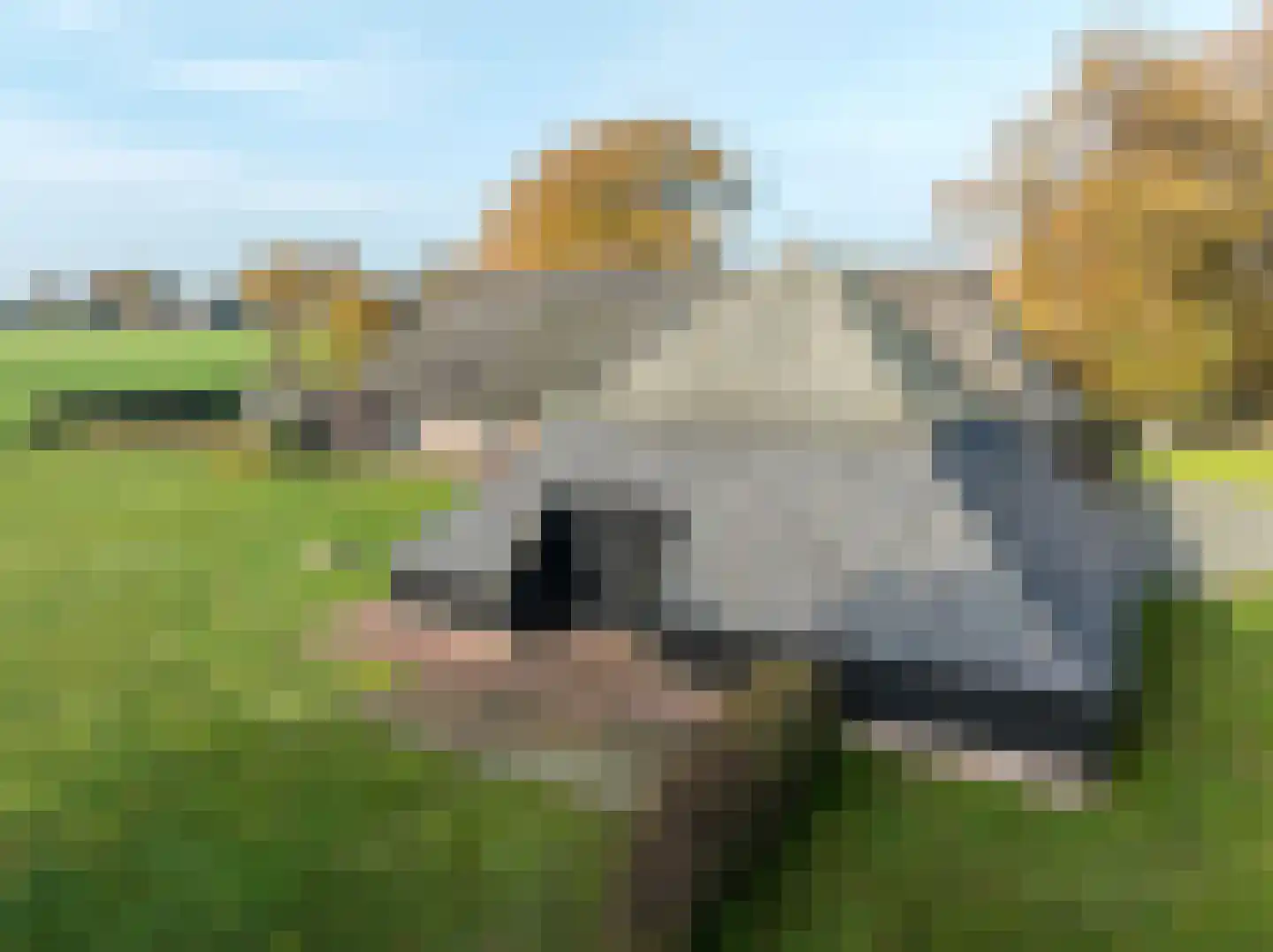 Oldenhave 13 Ruinen thumbnail 6