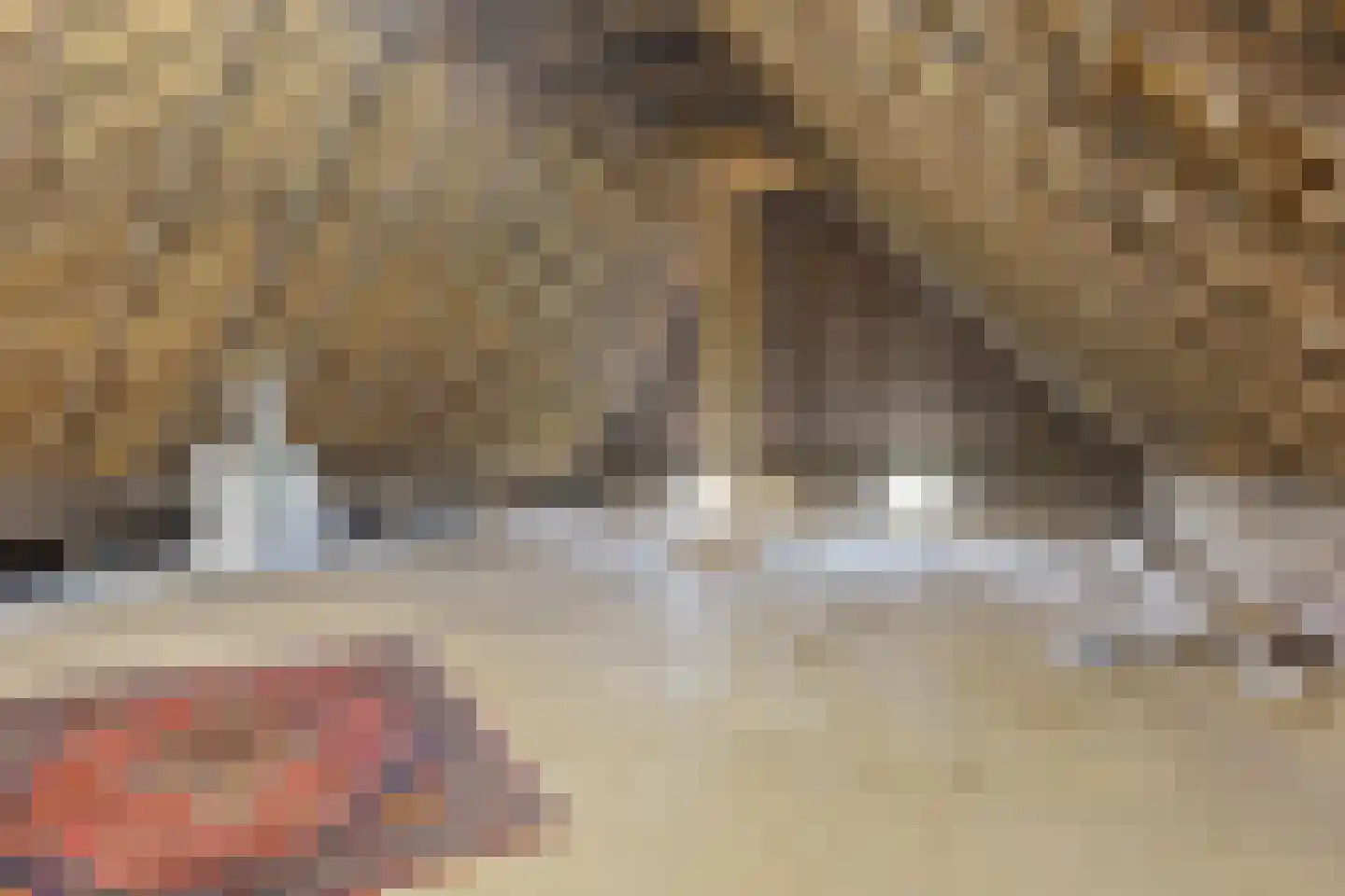 Oldenhave 13 Ruinen thumbnail 66