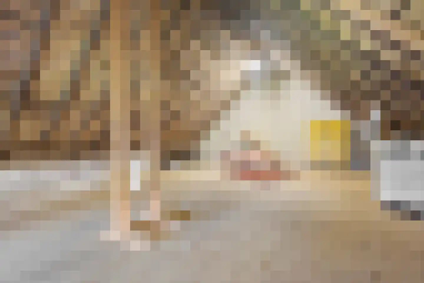 Oldenhave 13 Ruinen thumbnail 67