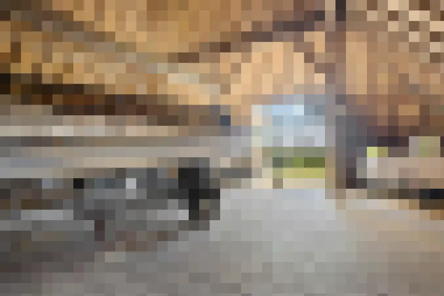 Oldenhave 13 Ruinen thumbnail 68