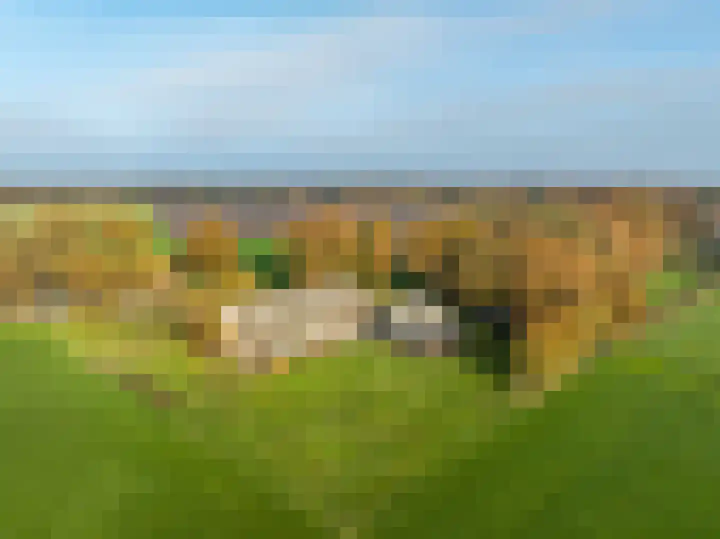 Oldenhave 13 Ruinen thumbnail 73