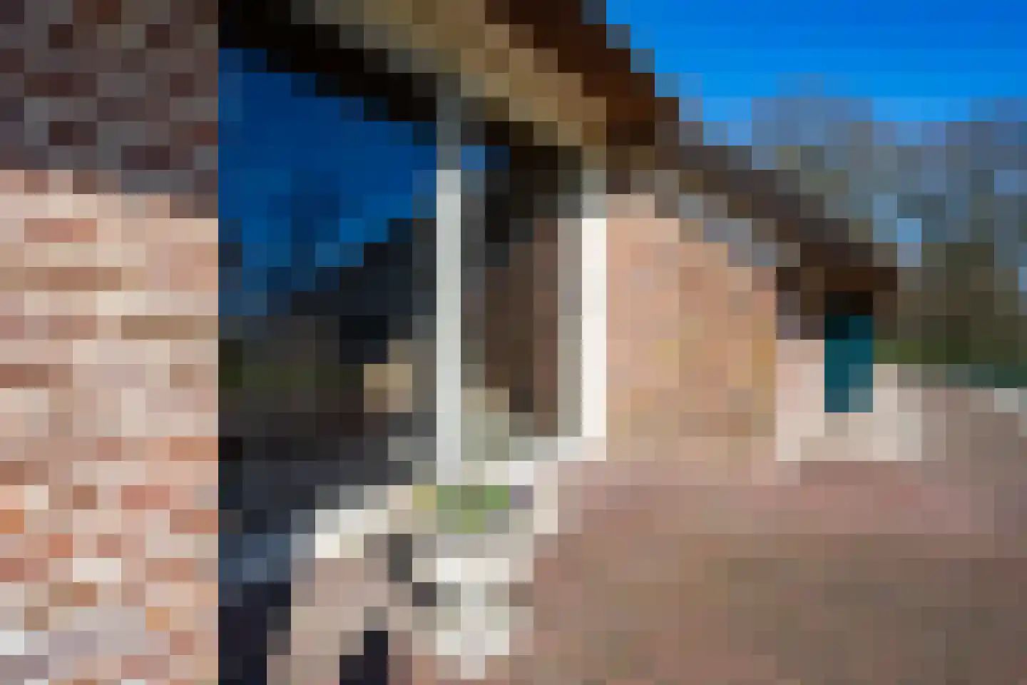 Oldenhave 13 Ruinen thumbnail 8