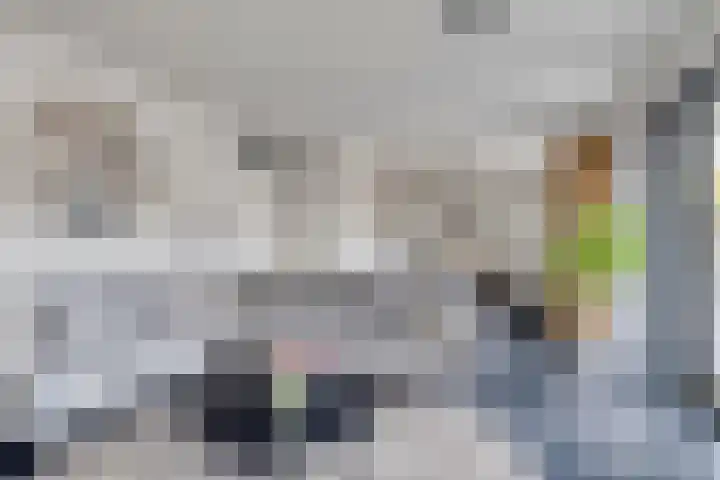 Oldenhave 14 Emmen thumbnail 10