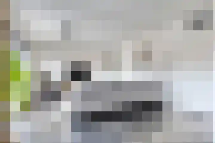 Oldenhave 14 Emmen thumbnail 12