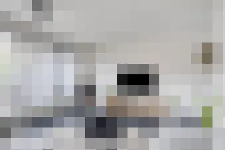 Oldenhave 14 Emmen thumbnail 13