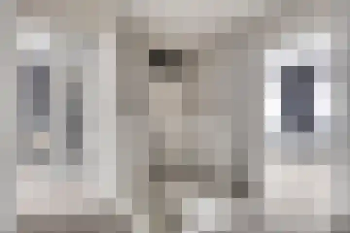Oldenhave 14 Emmen thumbnail 20