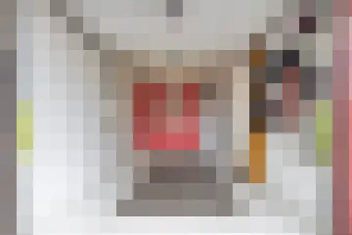 Oldenhave 14 Emmen thumbnail 32