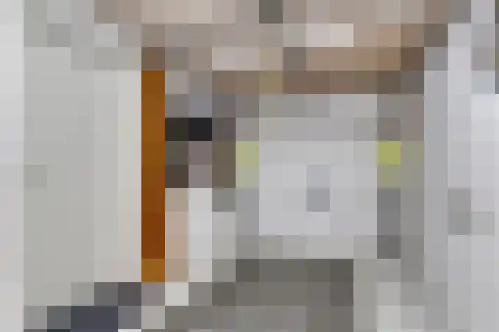 Oldenhave 14 Emmen thumbnail 33
