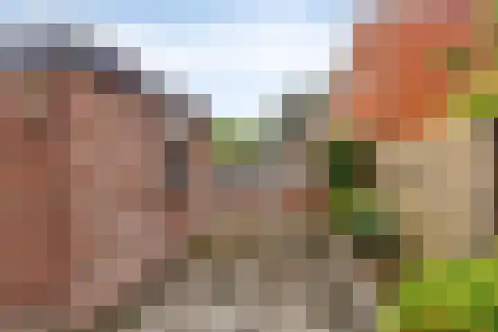 Oldenhave 14 Emmen thumbnail 42