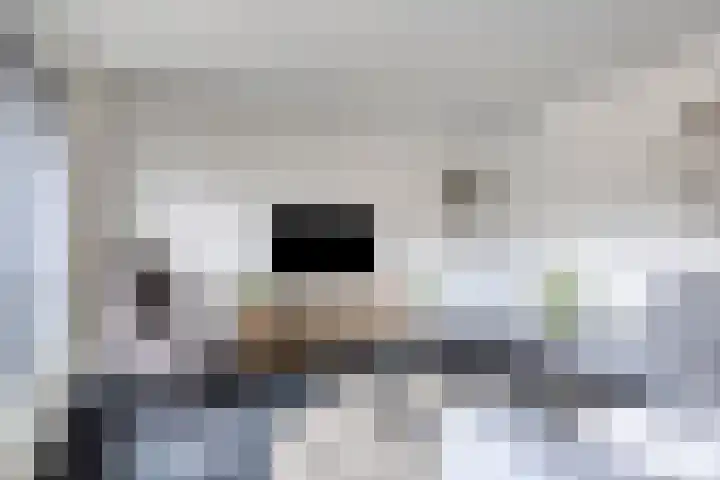 Oldenhave 14 Emmen thumbnail 8
