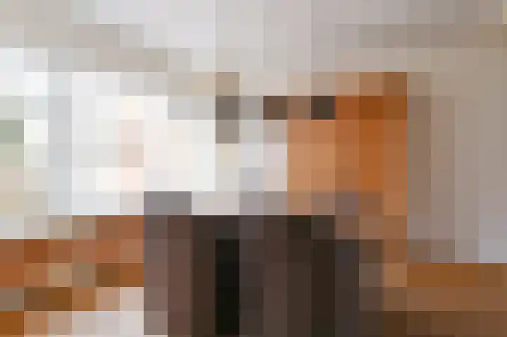 Oldenhave 23 Emmen thumbnail 24