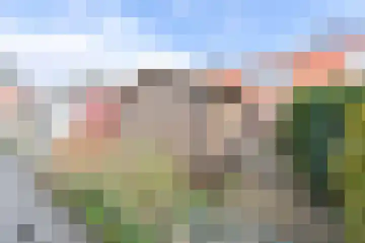 Oldenhave 23 Emmen thumbnail 54