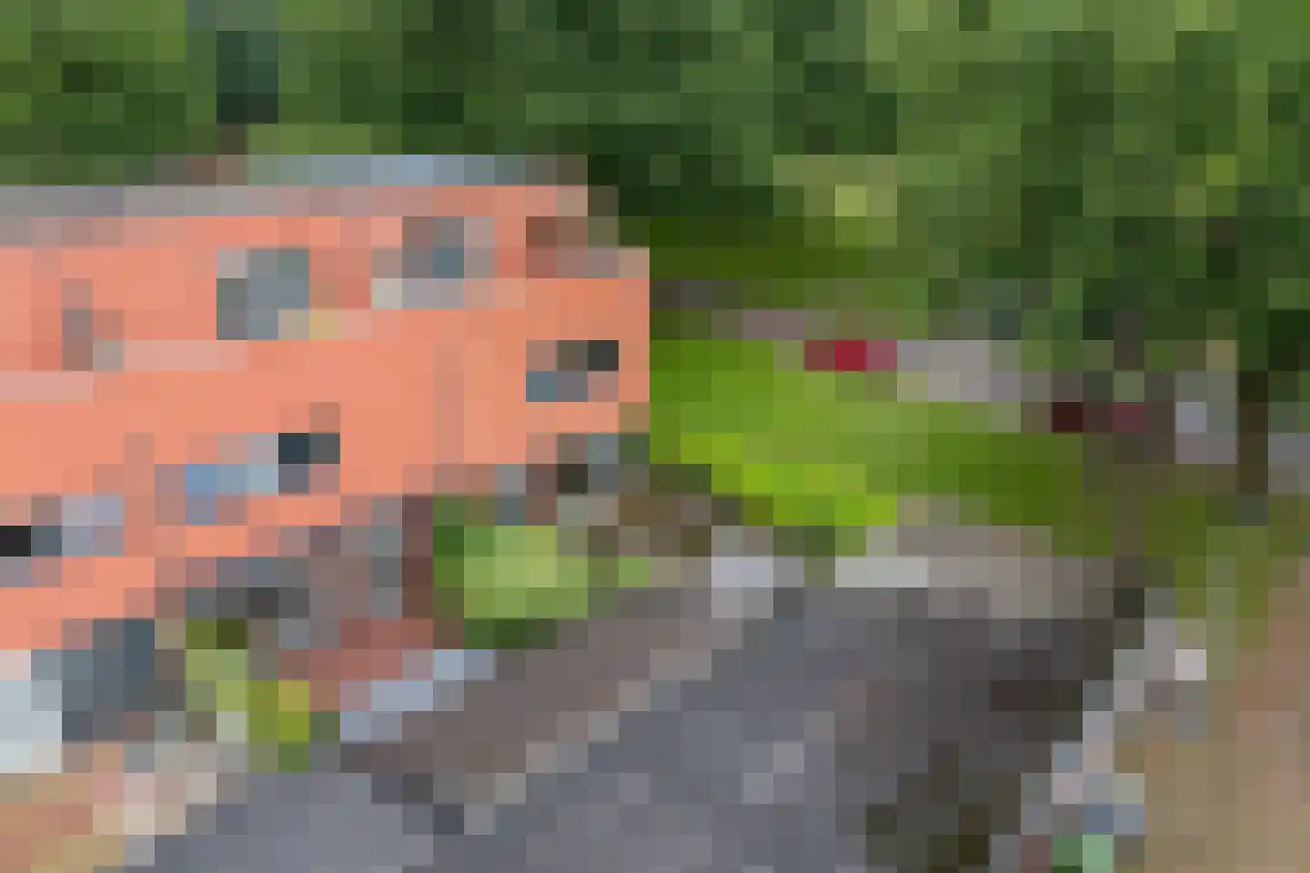 Oldenhave 43 Emmen thumbnail 41