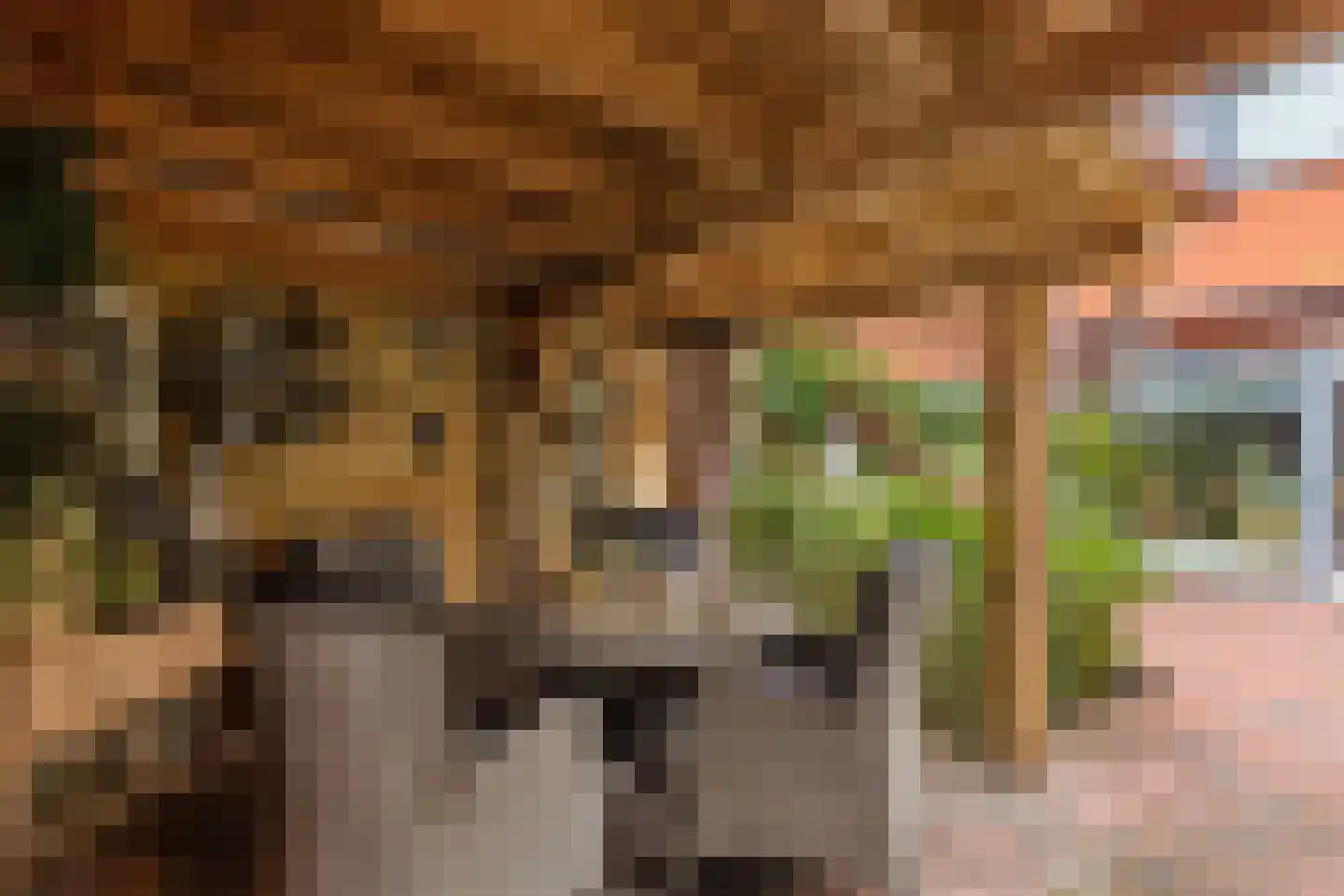 Oldenhave 43 Emmen thumbnail 48