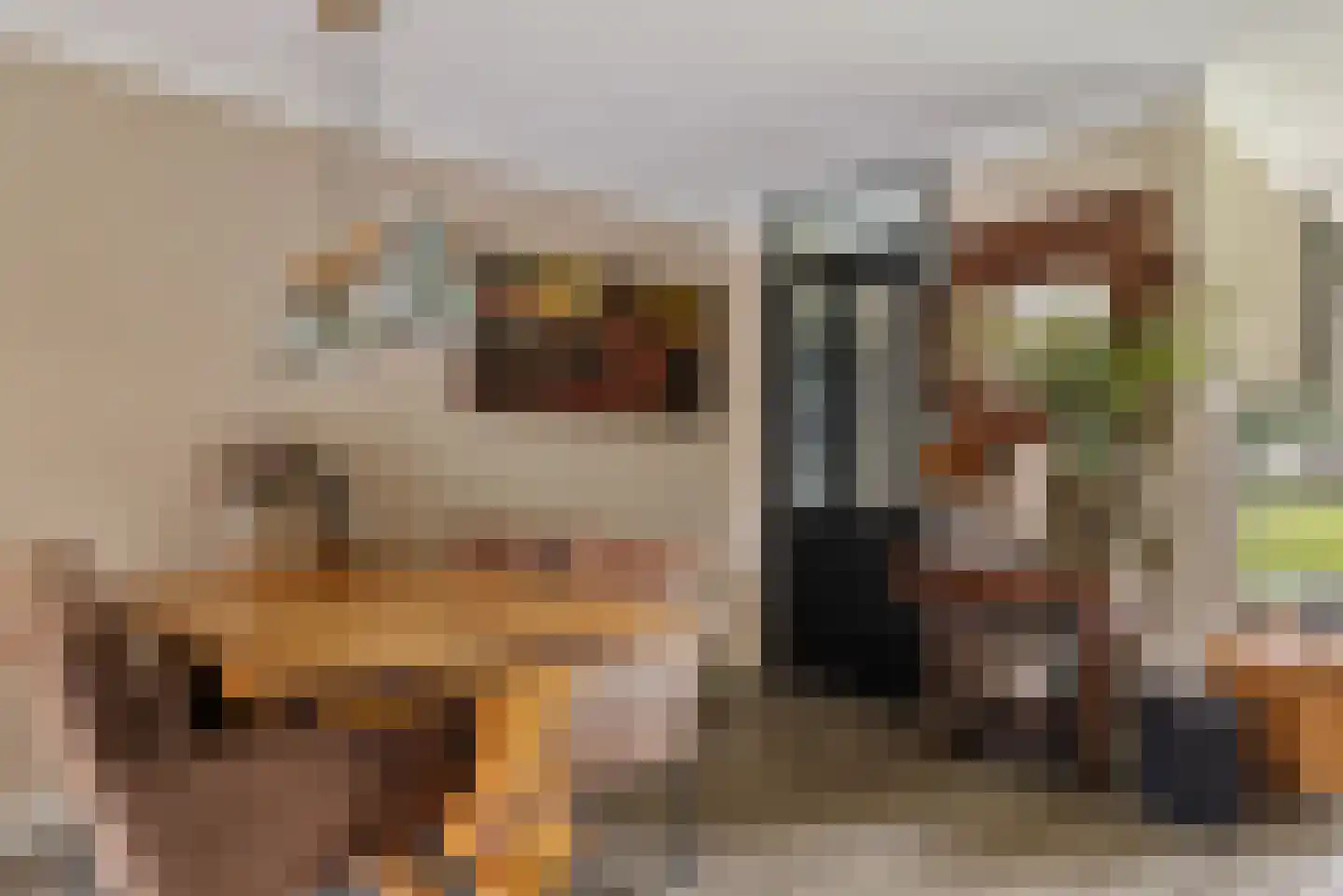 Oldenhave 43 Emmen thumbnail 5