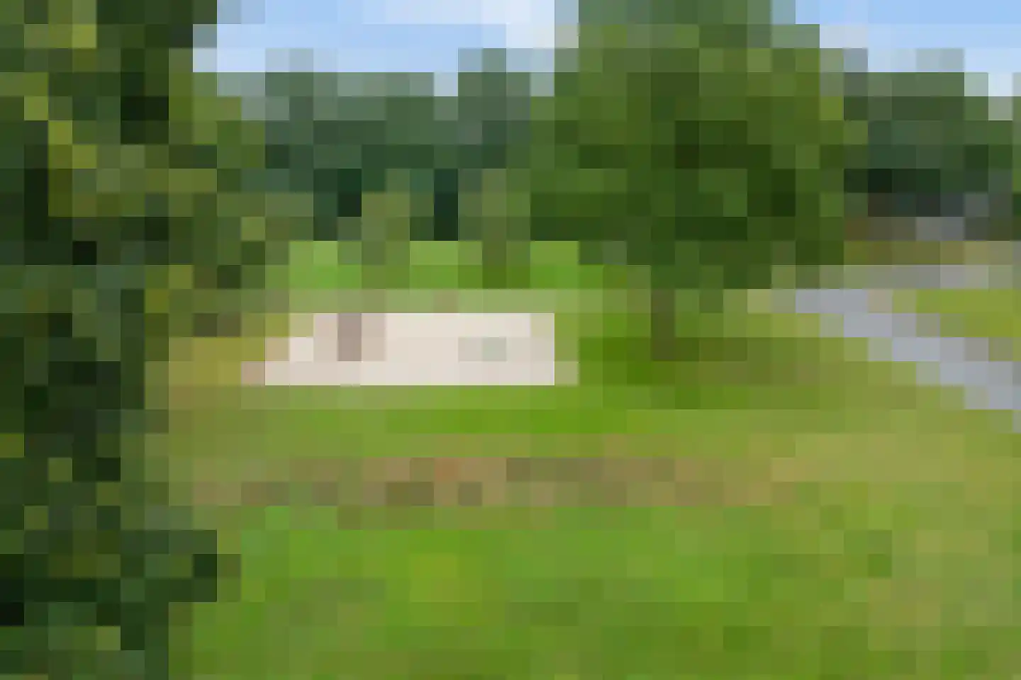 Oldenhave 43 Emmen thumbnail 50