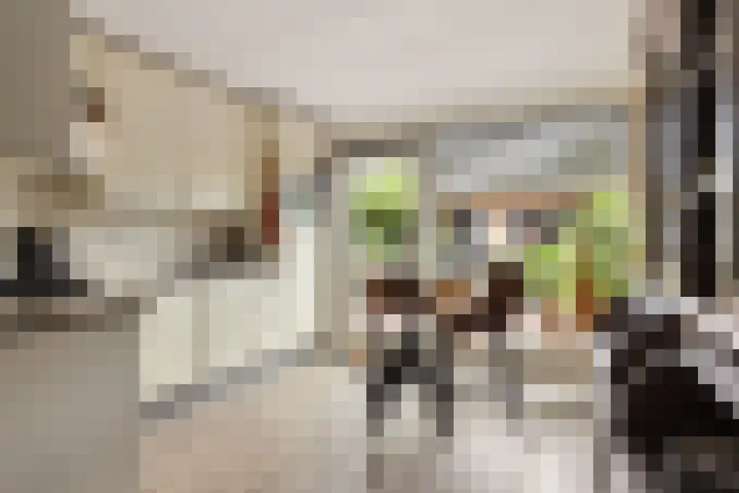 Oldenhave 43 Emmen thumbnail 8