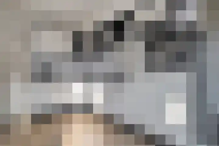 Oldenhof 13 Heeten thumbnail 12