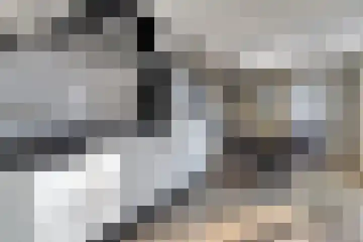 Oldenhof 13 Heeten thumbnail 13
