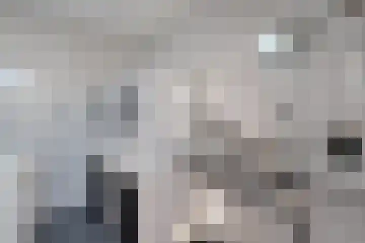 Oldenhof 13 Heeten thumbnail 18