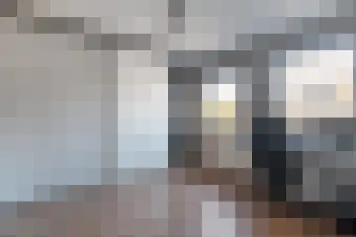 Oldenhof 13 Heeten thumbnail 25
