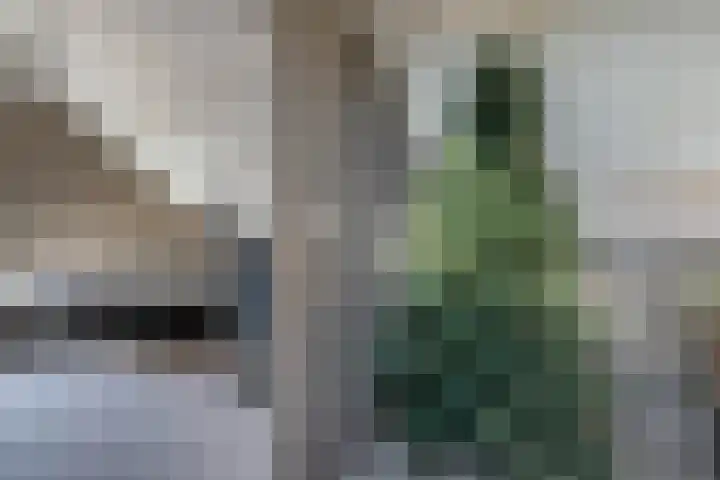 Oldenhof 13 Heeten thumbnail 34
