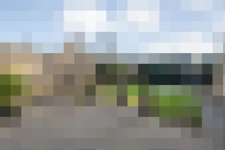 Oldenhof 13 Heeten thumbnail 37