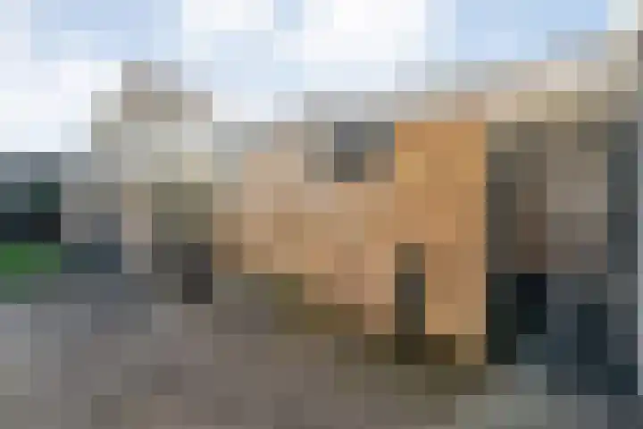 Oldenhof 13 Heeten thumbnail 39