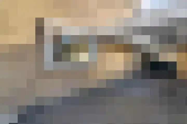 Oldenhof 13 Heeten thumbnail 46