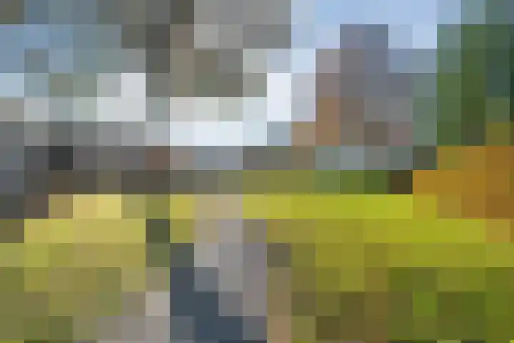 Oldenhof 13 Heeten thumbnail 47