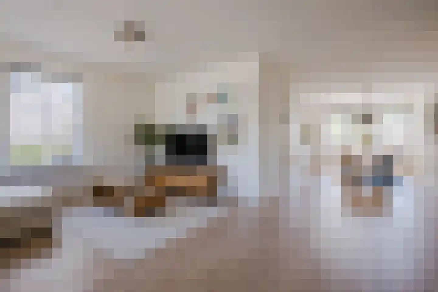 Oldenhof 14 de Wijk thumbnail 11