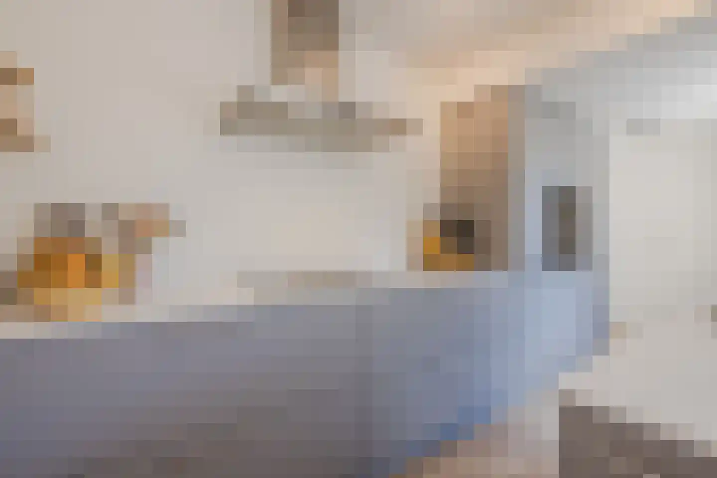 Oldenhof 14 de Wijk thumbnail 15