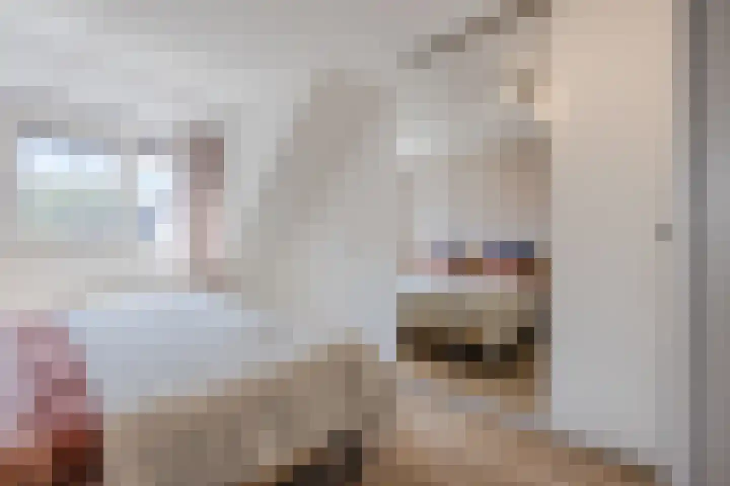 Oldenhof 14 de Wijk thumbnail 21