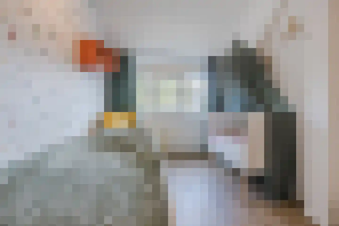 Oldenhof 14 de Wijk thumbnail 29