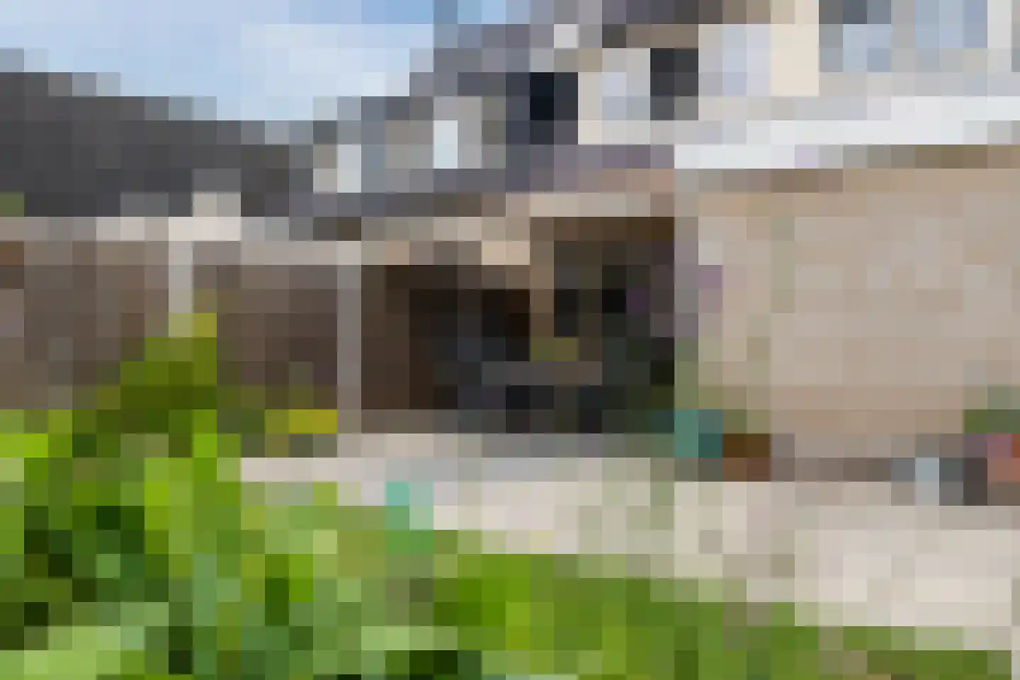 Oldenhof 14 de Wijk thumbnail 43