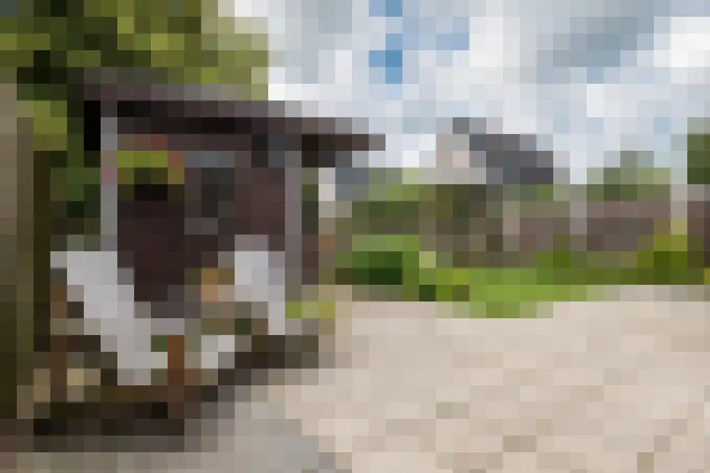 Oldenhof 14 de Wijk thumbnail 48