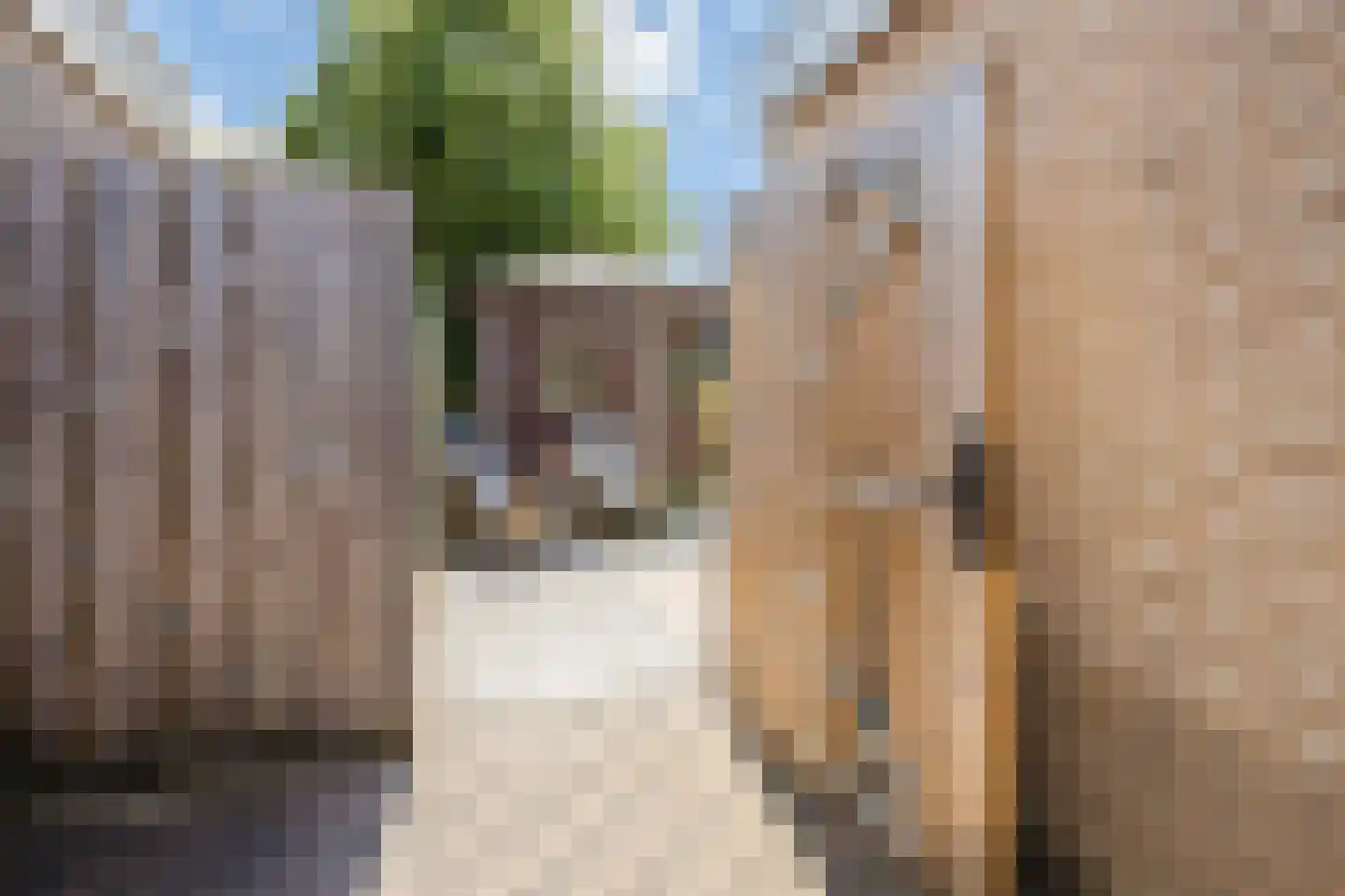 Oldenhof 14 de Wijk thumbnail 49