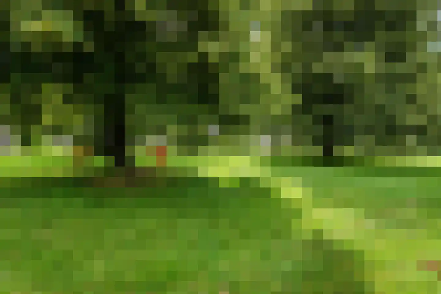 Oldenhof 14 de Wijk thumbnail 5