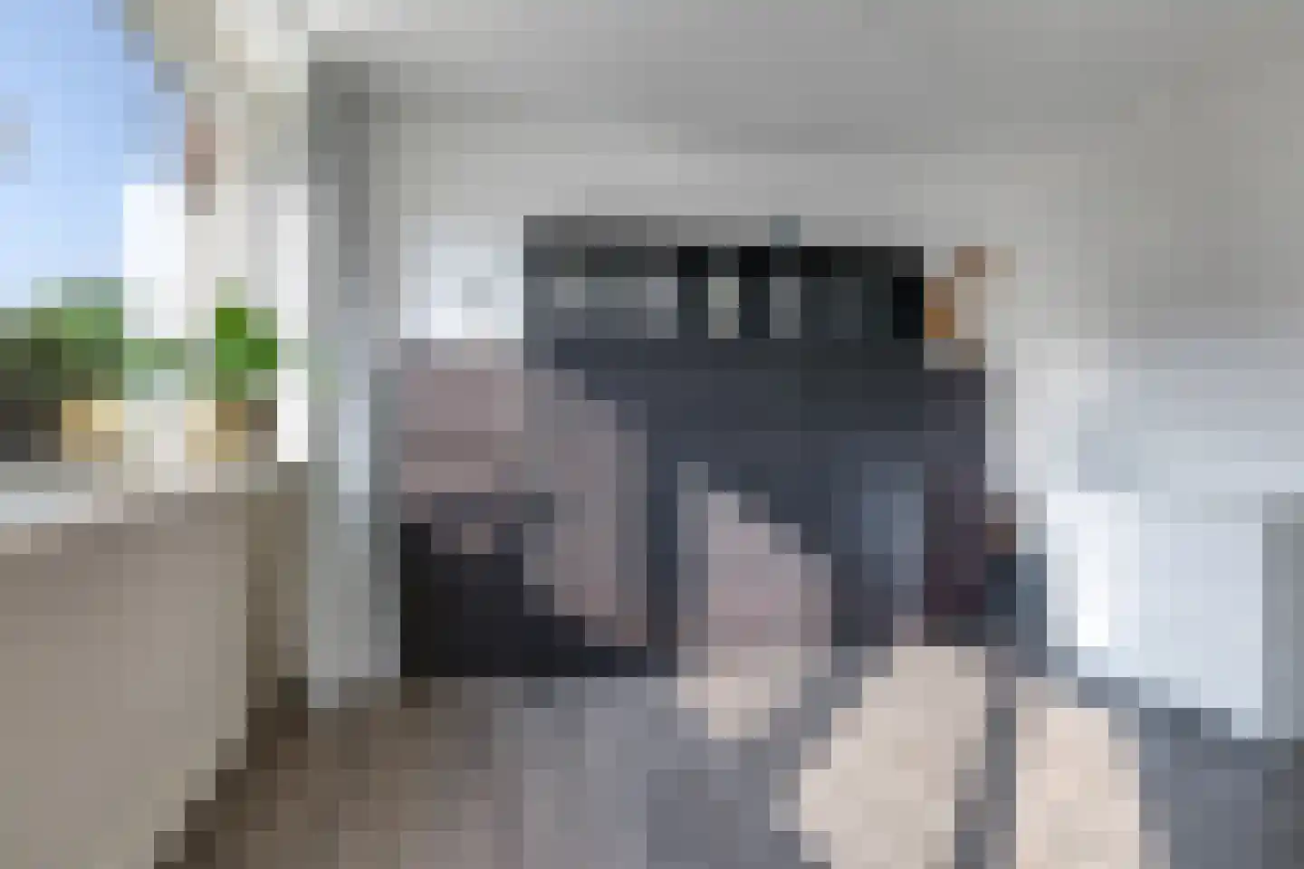 Oldenhof 66 Driel thumbnail 50